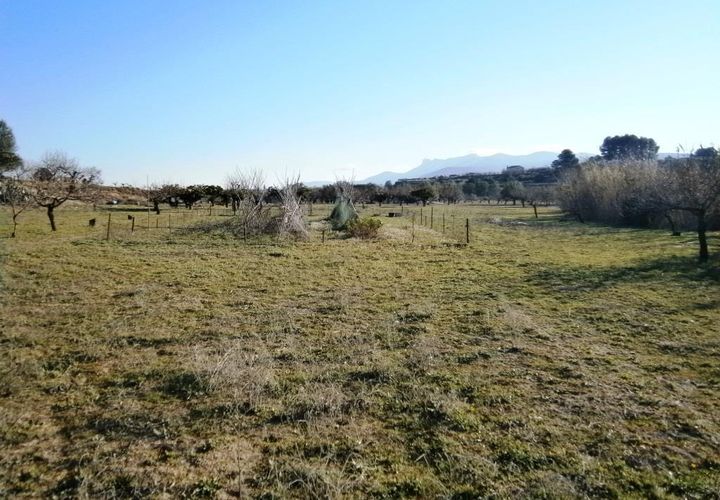 Terra a Agullent, Valencia, Agullent - € 50.000 | Ref: 8160 - foto 1
