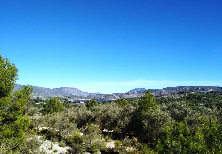 Helårsgrund i Benimarfull, Alicante, Benimarfull - € 45.000 | Ref: 8171 - foto 1