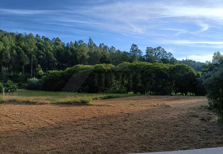 Helårsgrund i Ponte de Lima, Viana do Castelo, Ponte de Lima - € 37.500 | Ref: MDS3582 - foto 1