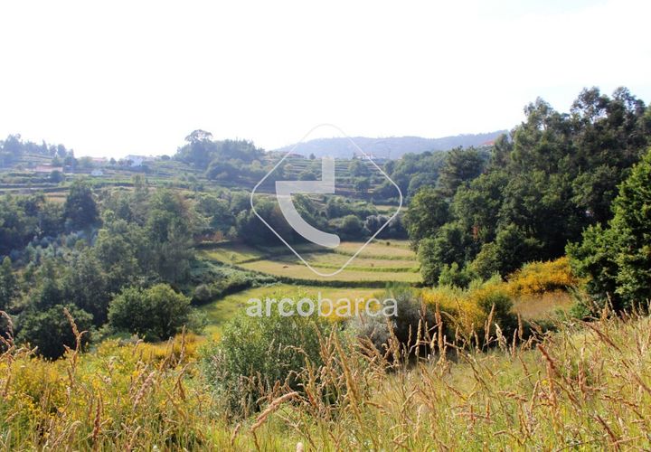 Terra a Ponte de Lima, Viana do Castelo, Ponte de Lima - € 20.000 | Ref: AV4459 - foto 1
