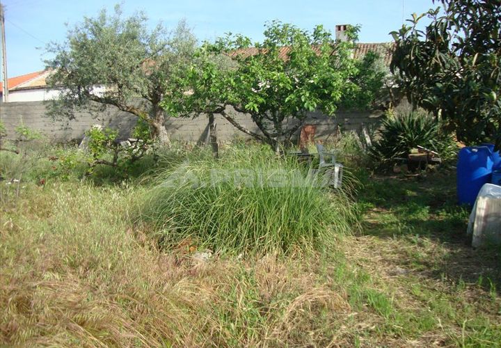 Helårsgrund i Castelo Branco, Castelo Branco, Castelo Branco - € 60.000 | Ref: PP278/T/12 - foto 1
