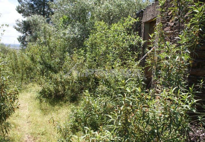 Helårsgrund i Castelo Branco, Castelo Branco, Castelo Branco - € 36.000 | Ref: PP3410 - foto 1