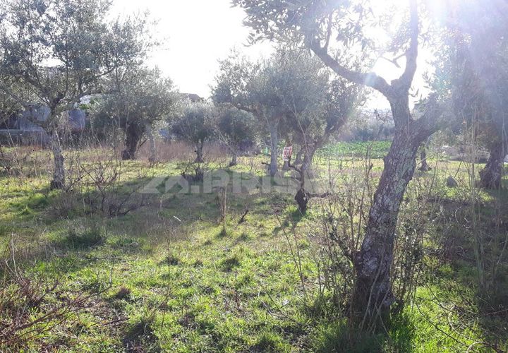 Helårsgrund i Castelo Branco, Castelo Branco, Castelo Branco - € 35.000 | Ref: PP2876/T/19 - foto 1
