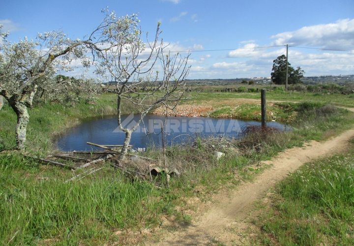 Helårsgrund i Castelo Branco, Castelo Branco, Castelo Branco - € 150.000 | Ref: PP2926/T/19 - foto 1