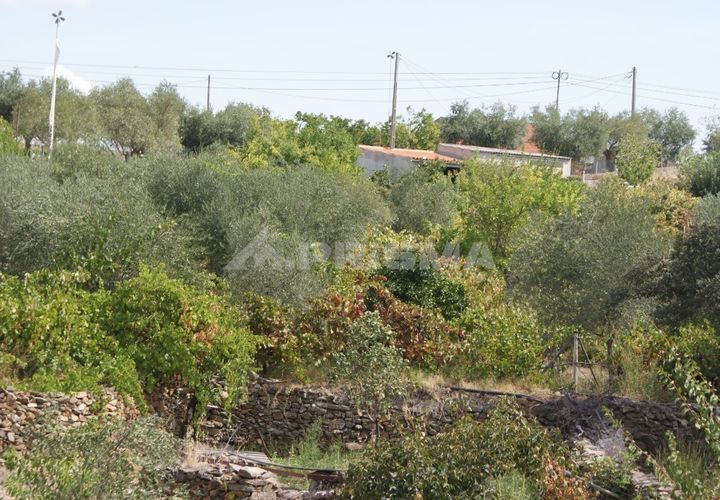 Helårsgrund i Nisa, Portalegre, Nisa - € 45.000 | Ref: PP3218 - foto 1
