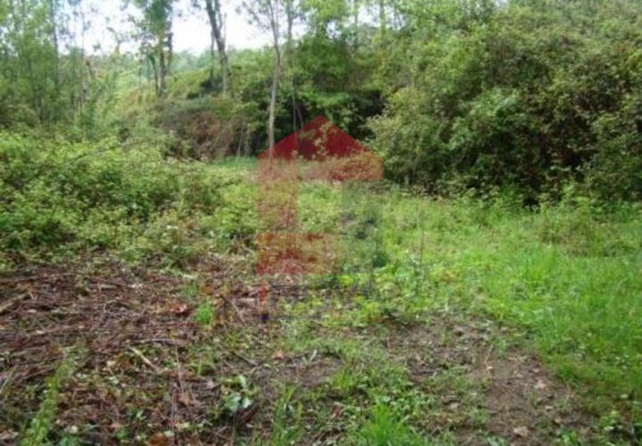 Helårsgrund i Vila Verde, Braga, Vila Verde - € 15.000 | Ref: 06226 - foto 1