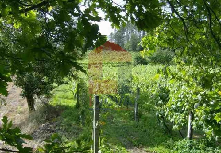 Helårsgrund i Vila Verde, Braga, Vila Verde - € 35.000 | Ref: 04187 - foto 1