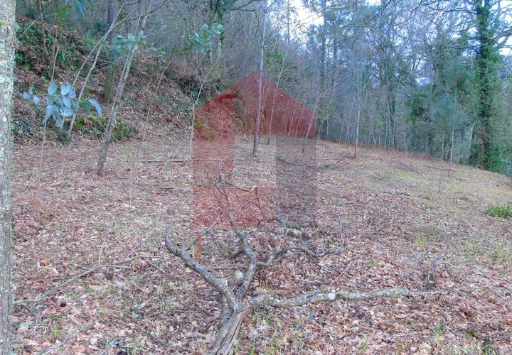 Helårsgrund i Vila Verde, Braga, Vila Verde - € 21.500 | Ref: 05820 - foto 1