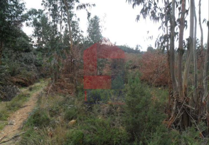 Helårsgrund i Vila Verde, Braga, Vila Verde - € 30.000 | Ref: 02963 - foto 1