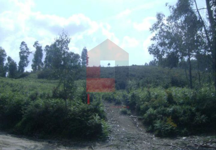 Helårsgrund i Vila Verde, Braga, Vila Verde - € 45.000 | Ref: 03134 - foto 1