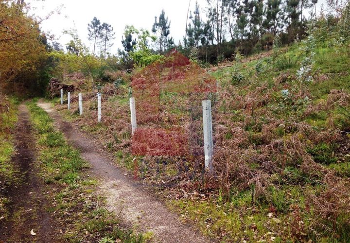 Helårsgrund i Vila Verde, Braga, Vila Verde - € 29.000 | Ref: 05354 - foto 1