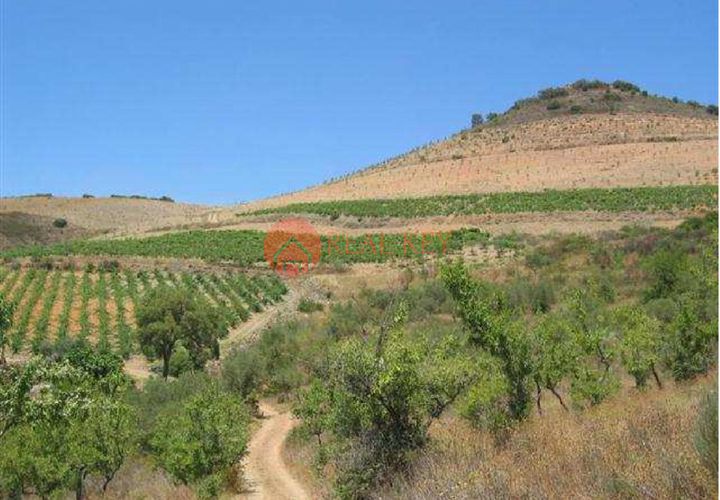 Farm i Torre de Moncorvo, Braganca, Torre de Moncorvo - € 1.500.000 | Ref: 1189 - foto 1