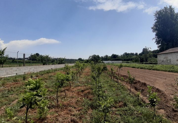 Helårsgrund i Amares, Braga, Amares - € 106.500 | Ref: 211350 - foto 1