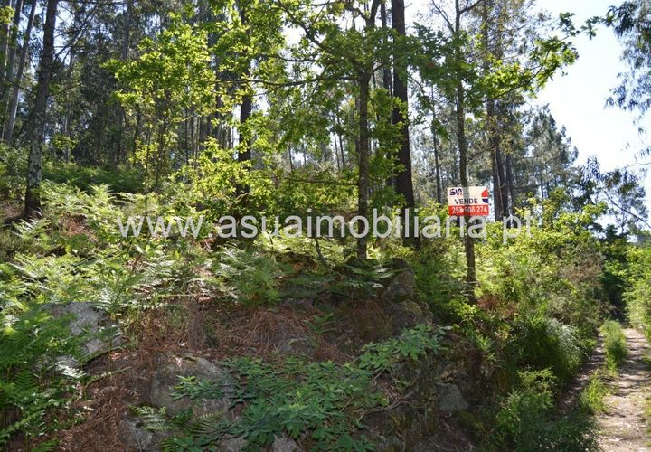 Helårsgrund i Amares, Braga, Amares - € 45.000 | Ref: 170181 - foto 1