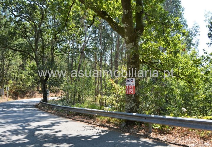 Helårsgrund i Amares, Braga, Amares - € 36.500 | Ref: 170342 - foto 1