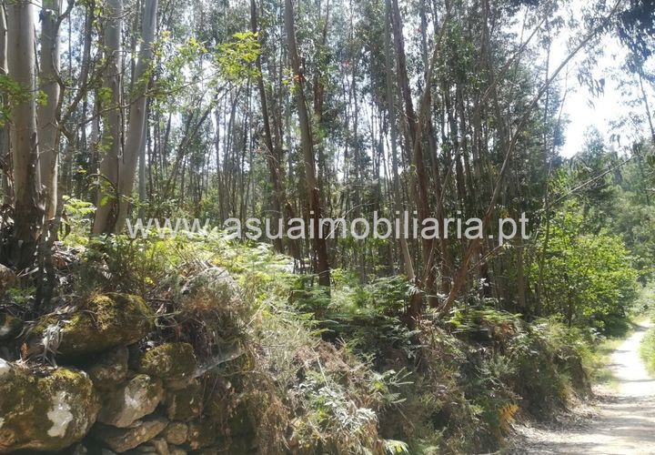Helårsgrund i Amares, Braga, Amares - € 85.000 | Ref: 190824 - foto 1