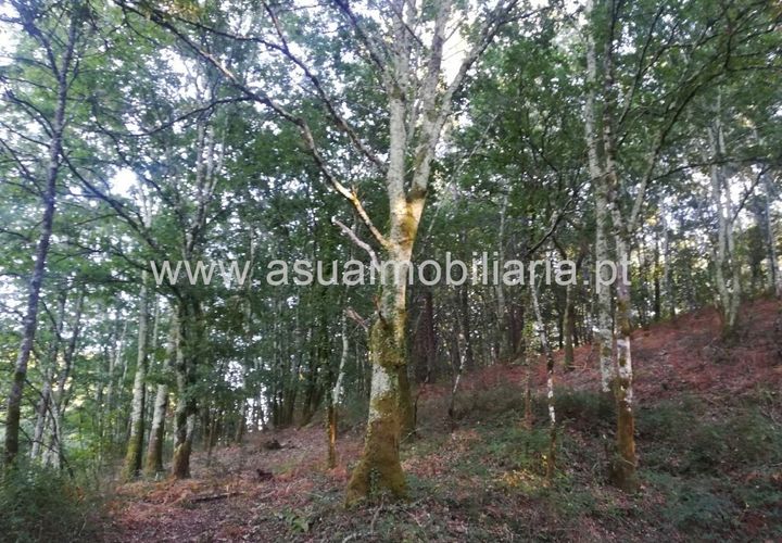 Helårsgrund i Amares, Braga, Amares - € 69.000 | Ref: 180599 - foto 1