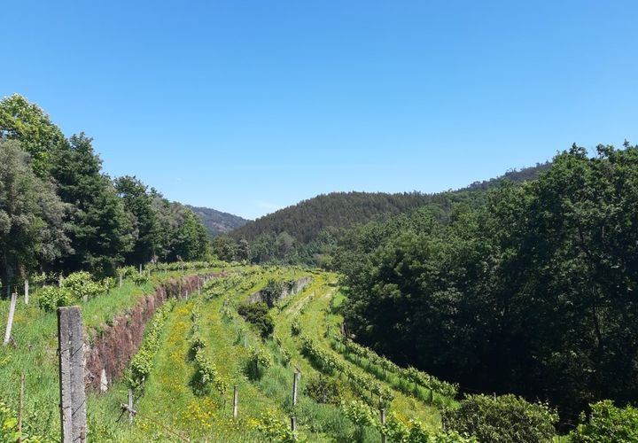 Helårsgrund i Amares, Braga, Amares - € 179.000 | Ref: 170098 - foto 1