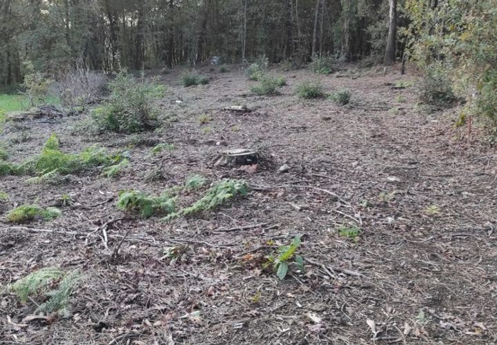 Helårsgrund i Amares, Braga, Amares - € 16.500 | Ref: 201247 - foto 1