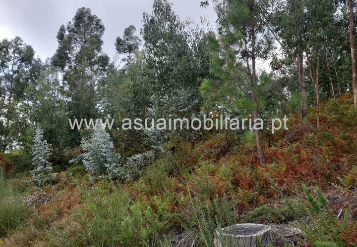 Helårsgrund i Amares, Braga, Amares - € 70.000 | Ref: 191000 - foto 1