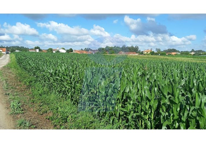 Helårsgrund i Oia, Aveiro, Oia - € 160.000 | Ref: TER_697 - foto 1