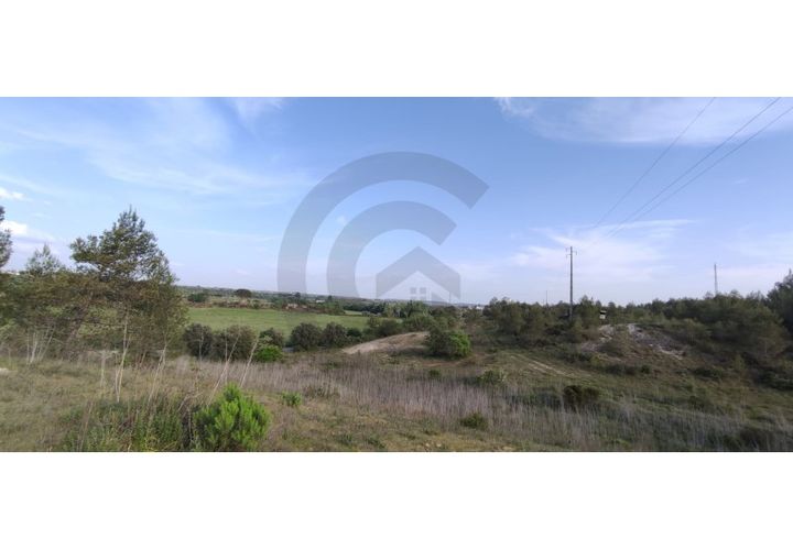 Terra a Olaia e Paco, Santarem, Olaia e Paco - € 300.000 | Ref: C0269-01128 - foto 1