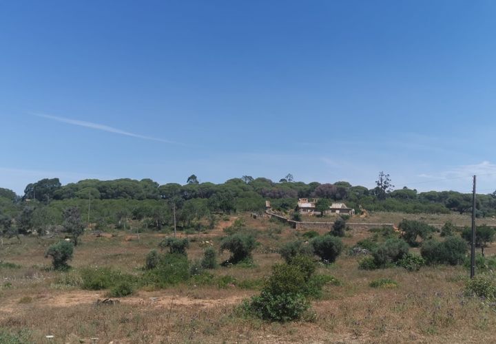 Helårsgrund i Lagoa, Faro, Lagoa - € 2.800.000 | Ref: 114 - foto 1