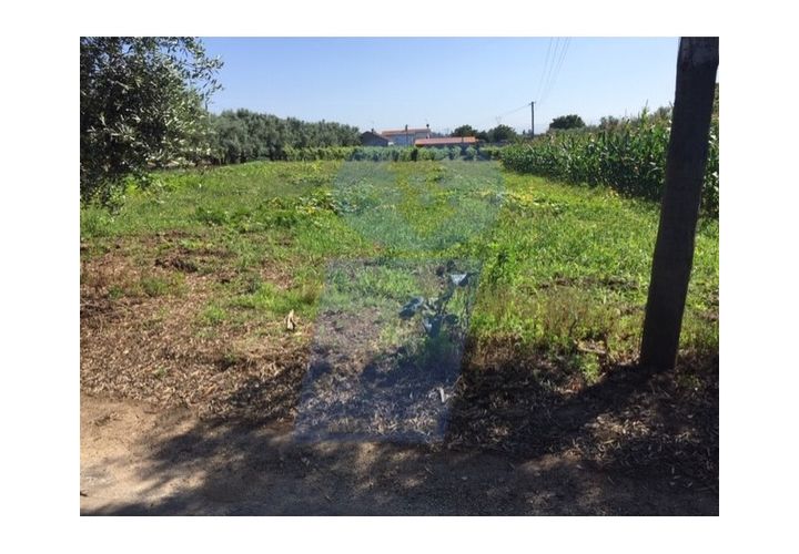 Helårsgrund i Anadia, Aveiro, Anadia - € 45.000 | Ref: TER_753 - foto 1