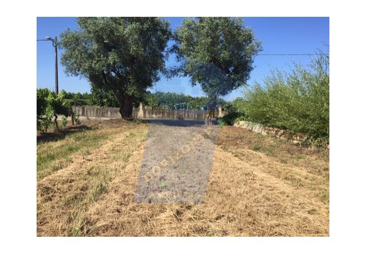 Helårsgrund i Anadia, Aveiro, Anadia - € 40.000 | Ref: TER_751 - foto 1