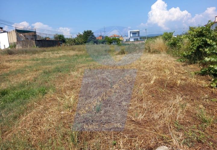 Helårsgrund i Agueda, Aveiro, Agueda - € 41.000 | Ref: TER_746A - foto 1