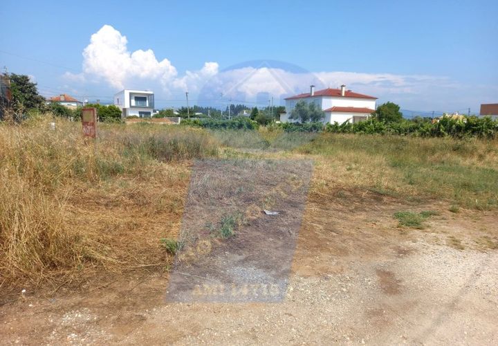 Helårsgrund i Agueda, Aveiro, Agueda - € 41.000 | Ref: TER_746B - foto 1