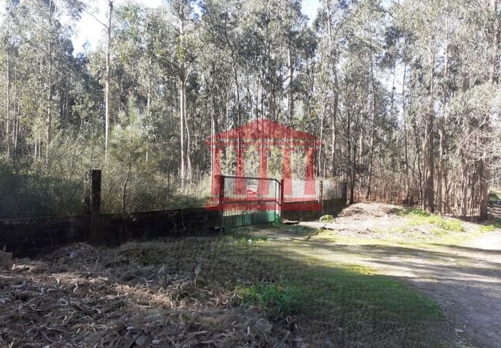 Terra a Vila Cha, Braga, Vila Cha - € 150.000 | Ref: 272T00694 - foto 1