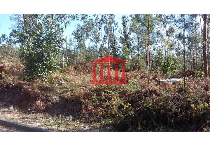 Terra a Remelhe, Braga, Remelhe - € 400.000 | Ref: 272T00580 - foto 1