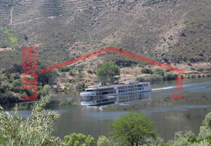 Farm i Torre de Moncorvo, Braganca, Torre de Moncorvo - € 650.000 | Ref: 0818 - foto 1