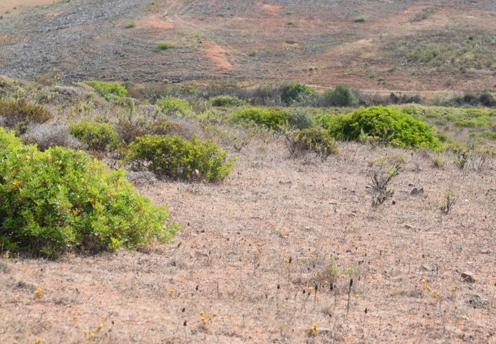 Helårsgrund i Sagres, Faro, Sagres - € 40.000 | Ref: SÒL_90 - foto 1