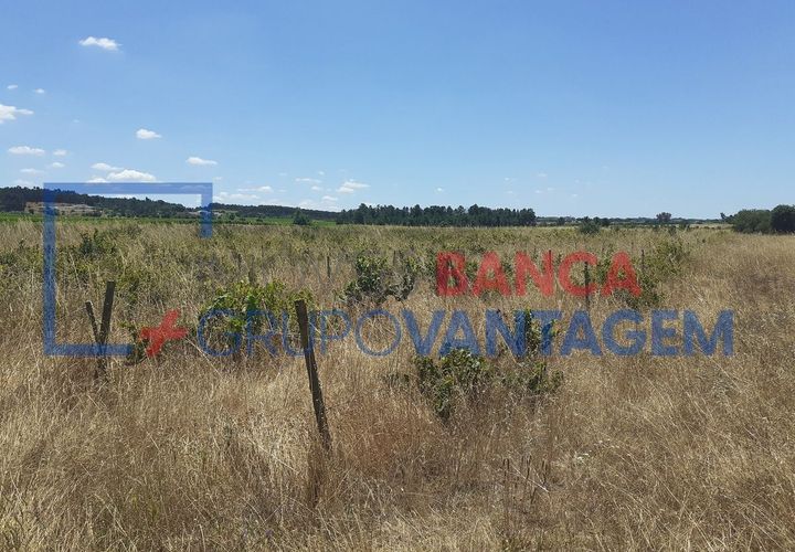 Terra a Alpiarca, Santarem, Alpiarca - € 16.000 | Ref: T-21868 - foto 1