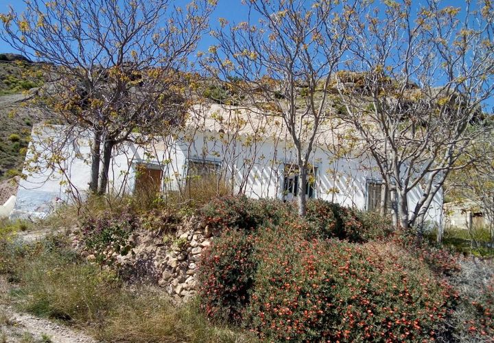 Landejendom i Albox, Almeria, Albox - € 65.000 | Ref: APS 1490 - foto 1
