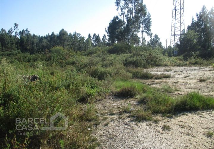 Erhvervsejendom i Barcelos, Braga, Barcelos - € 150.000 | Ref: 189/17 - foto 1