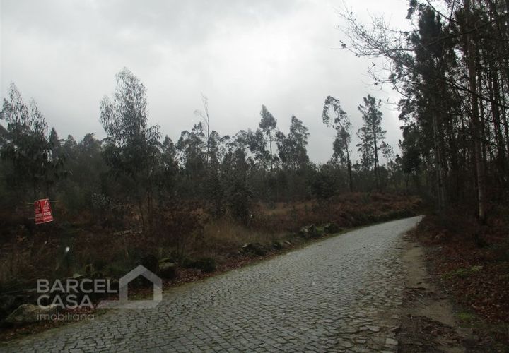 Helårsgrund i Barcelos, Braga, Barcelos - € 75.000 | Ref: 31/17 - foto 1