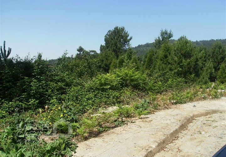 Helårsgrund i Barcelos, Braga, Barcelos - € 60.000 | Ref: 3010/09 - foto 1