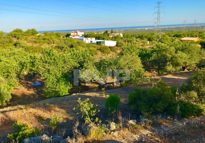 Helårsgrund i Estoi, Faro, Estoi - € 92.000 | Ref: 165210046 - foto 1