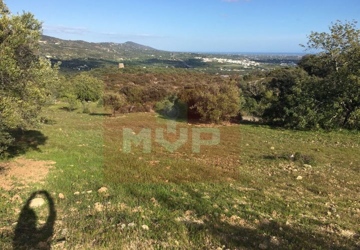 Helårsgrund i Estoi, Faro, Estoi - € 41.150 | Ref: 170180083 - foto 1
