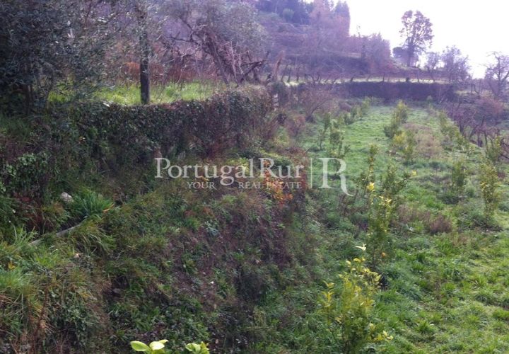 Farm i Sever do Vouga, Aveiro, Sever do Vouga - € 120.000 | Ref: FIN_3801 - foto 1