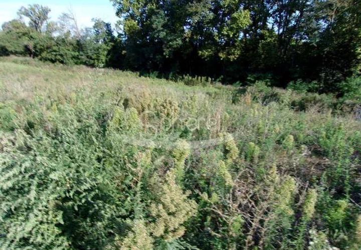 Terra a Roullens, Aude, Roullens - € 55.000 | Ref: 2064 - foto 1