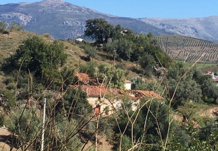 Landejendom i Comares, Malaga, Comares - € 69.000 | Ref: ID3900 - foto 1
