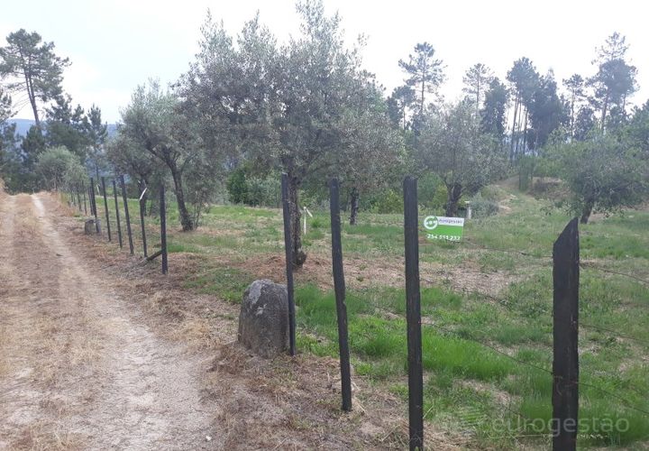 Helårsgrund i Viseu, Viseu, Viseu - € 95.000 | Ref: LMG_3620 - N - foto 1