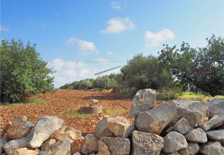 Grond in Scicli, Ragusa, Scicli - € 13.000 | Ref: 12 - foto 1