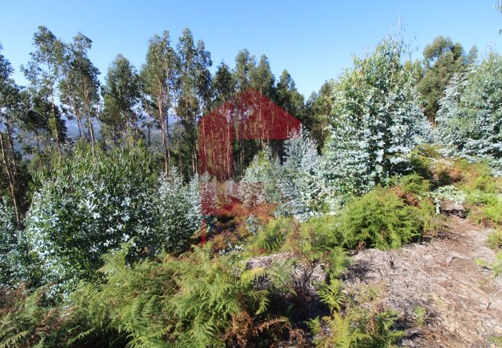 Helårsgrund i Vila Verde, Braga, Vila Verde - € 120.000 | Ref: 07452 - foto 1