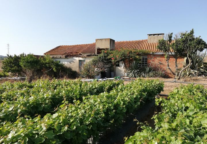 Villa i Obidos, Leiria, Obidos - € 89.000 | Ref: RVC2568 - foto 1