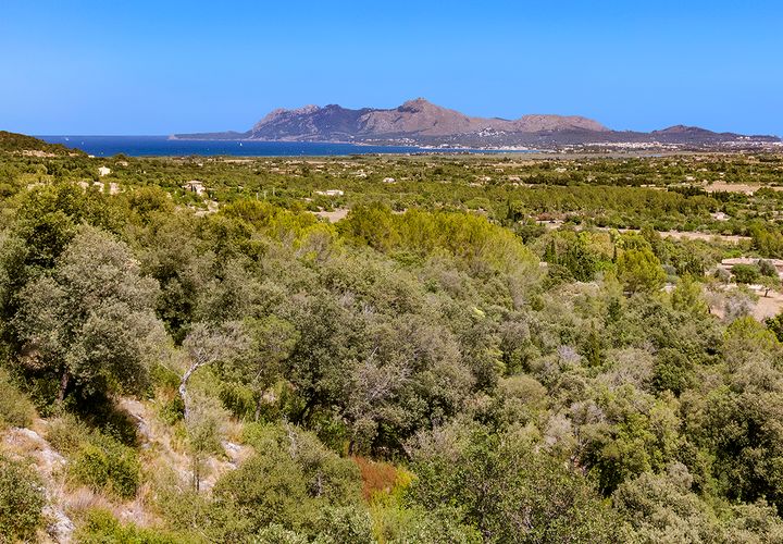 Tomt i Pollenca, Mallorca, Pollenca - € 916 000 | Ref: POL0556d - foto 1